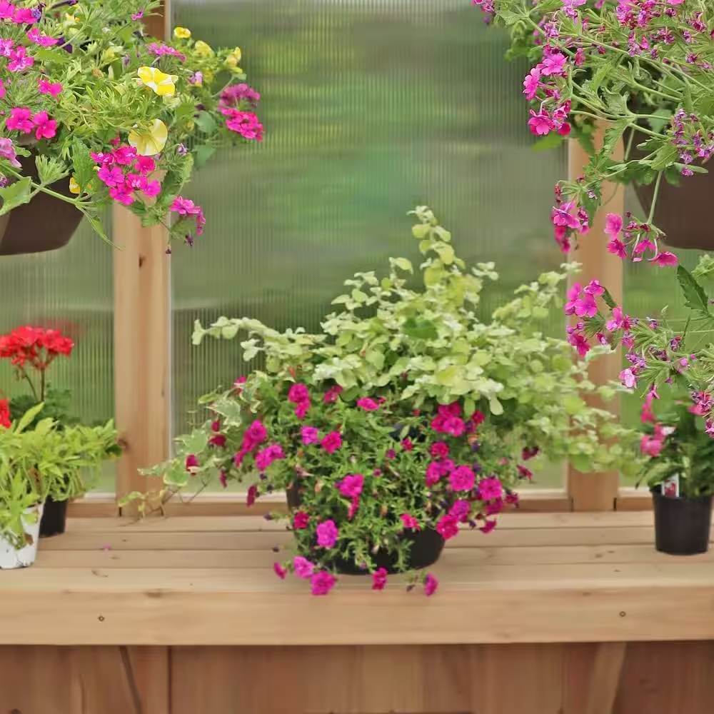 Meridian 6.7 ft. x 6 ft. Garden Plant Greenhouse with Double-Wall Poly Windows, Automatic Roof Vent and Air Flow Base